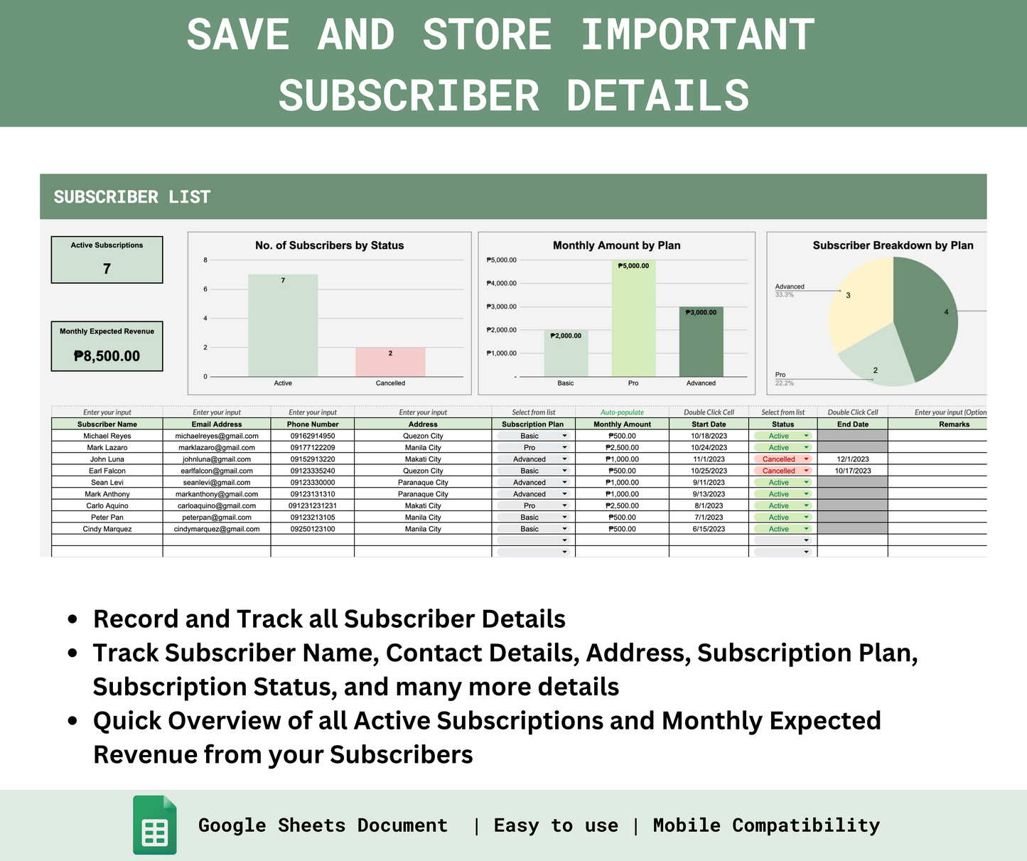 Monthly Subscription Business Payments Tracker