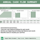 Daily Cash Flow Tracker