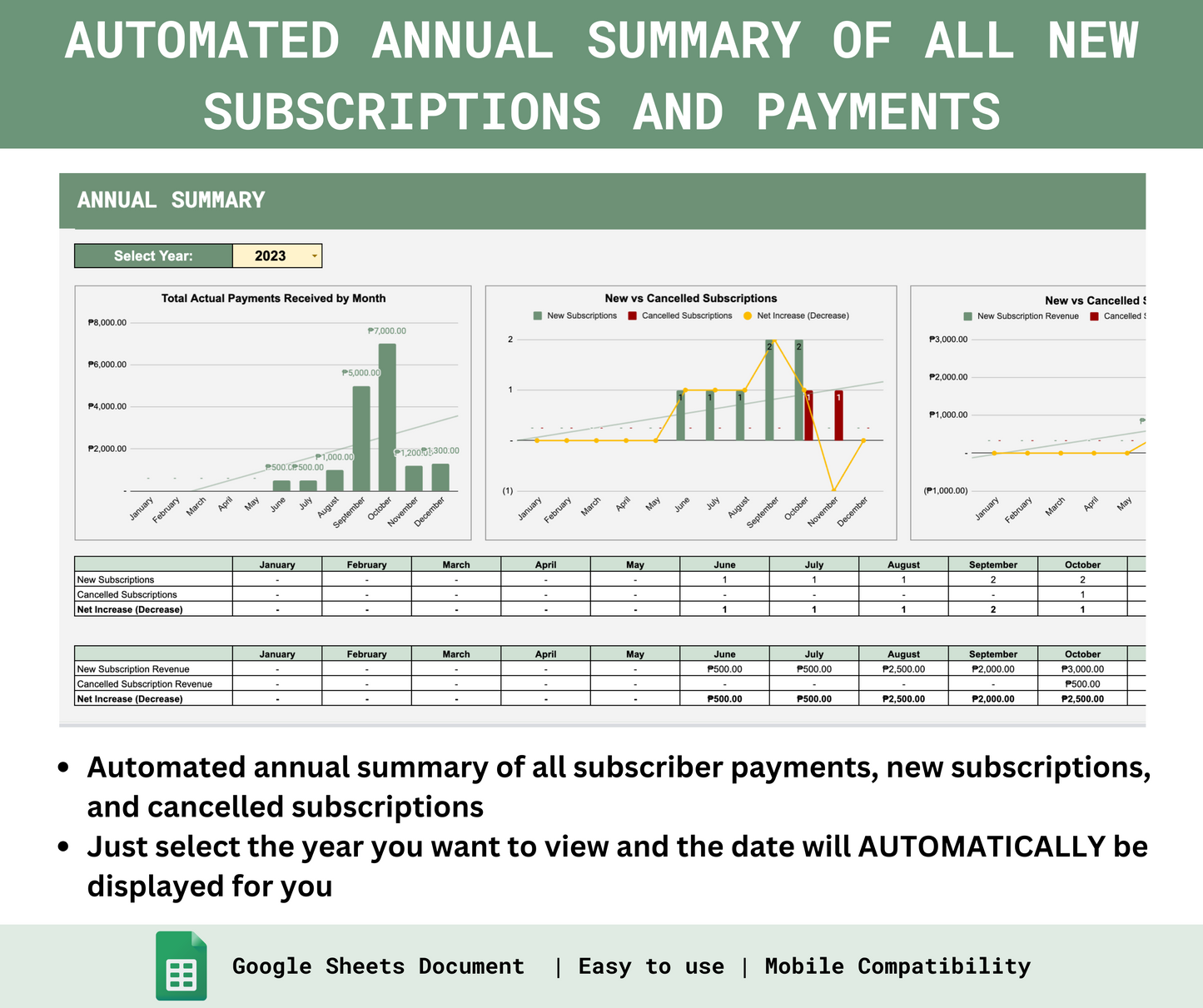 Monthly Subscription Business Payments Tracker